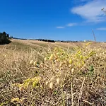 La Casina Dei Praticelli Castelfiorentino