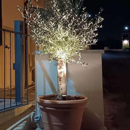 La Casina Dei Praticelli Lägenhet *